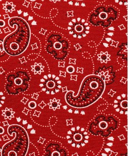 SLIM5039-04 Chemise rouge slim fit motifs PAISLEY